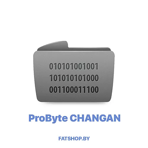 Модуль 0209. CHANGAN SRS RH850 CANBUS CRASH RESET (BOSCH) ( ProByte )