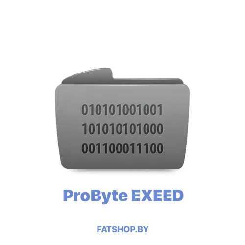 Модуль 0184. EXEED SRS TXL INFINEON XC23xx CRASH RESET (Veoneer) ( ProByte )