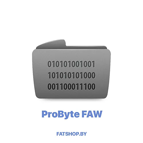 Модуль 0208. FAW SRS RH850 CANBUS CRASH RESET (Continental) ( ProByte )