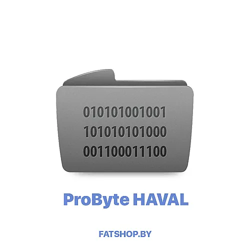 Модуль 0149. HAVAL SRS INFINEON XC23xx CANBUS CRASH RESET ( ProByte )
