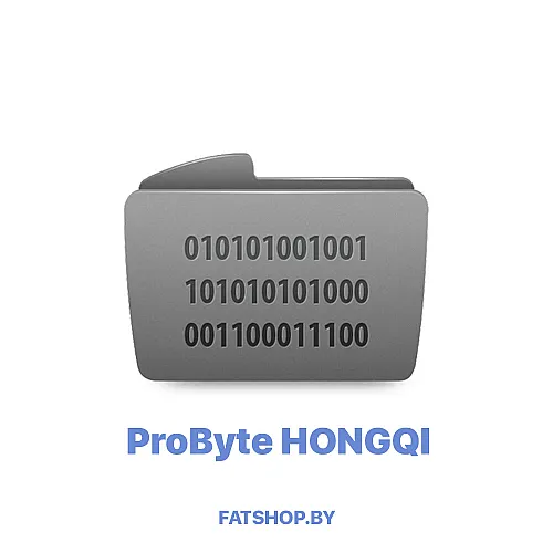 Модуль 0210. HONGQI SRS TRICORE AURIX CRASH RESET (ZF) ( ProByte )