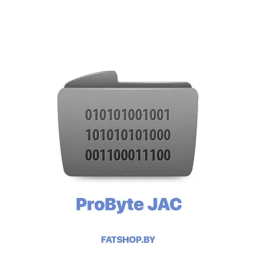 Модуль 0188. JAC SRS RH850 (BOSCH) CANBUS CRASH RESET ( ProByte )