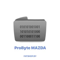 Модуль 0126. MAZDA MAC7242 RESET CRASH CAN BUS ( ProByte )