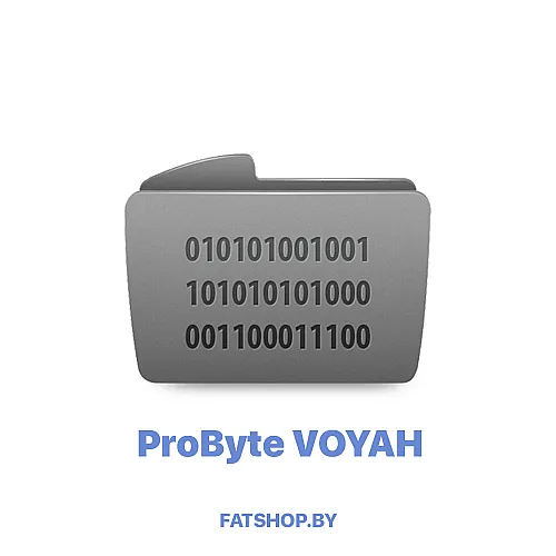 Модуль 0222 VOYAH SRS RH850 CANBUS CRASH RESET (Continental) ( ProByte )