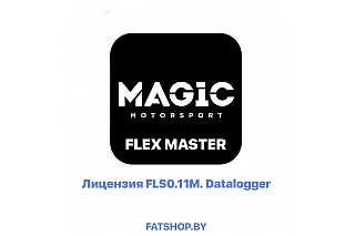 Лицензия FLS0.11M. Datalogger (FLEX MASTER)