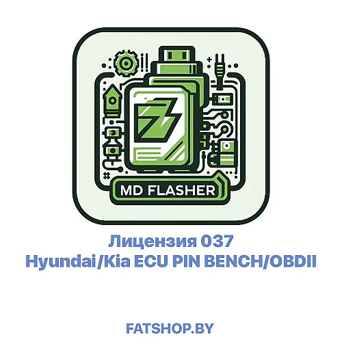 Лицензия 037 Hyundai/Kia ECU PIN BENCH/OBDII