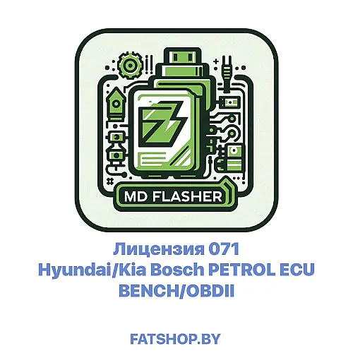 Лицензия 071 Hyundai/Kia Bosch PETROL ECU BENCH/OBDII
