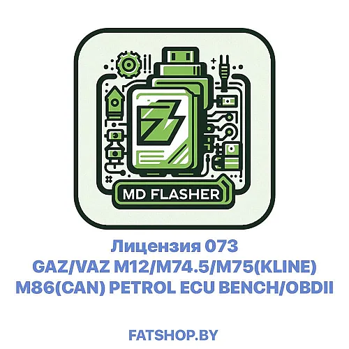 Лицензия 073 GAZ/VAZ M12/M74.5/M75(KLINE) M86(CAN) PETROL ECU BENCH/OBDII
