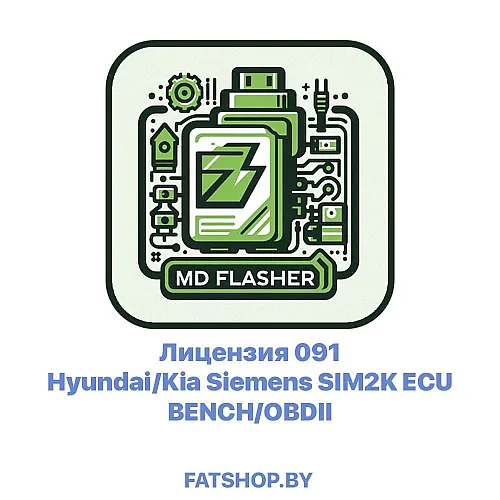 Лицензия 091 Hyundai/Kia Siemens SIM2K ECU BENCH/OBDII