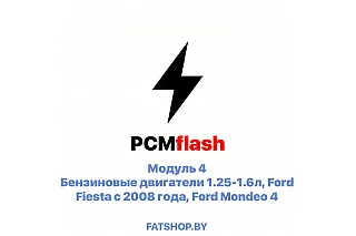 Модуль 4 PCMflash