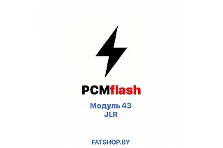 Модуль 43 PCMflash