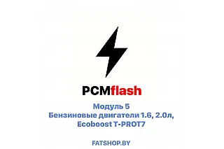 Модуль 5 PCMflash
