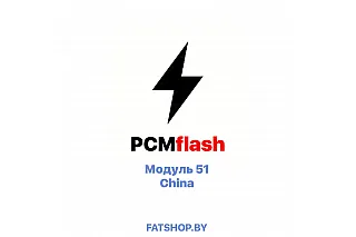 Модуль 51 PCMflash