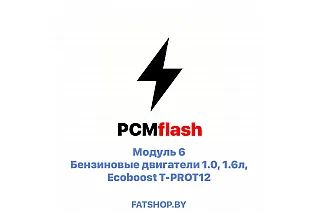 Модуль 6 PCMflash