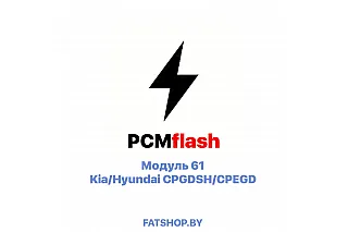 Модуль 61 PCMflash
