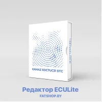 ECULite Модуль 13 KMZ EDC7UC31 DTC