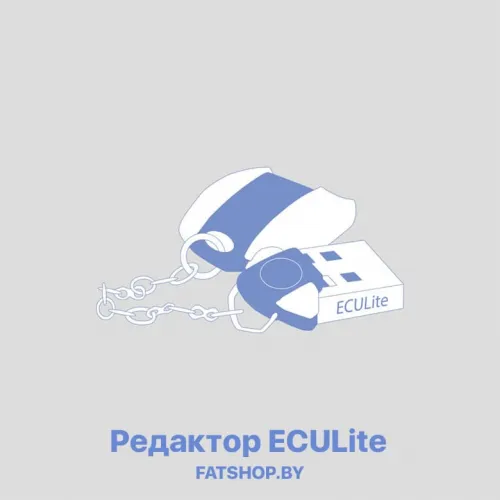 ECULite USB ключ 
