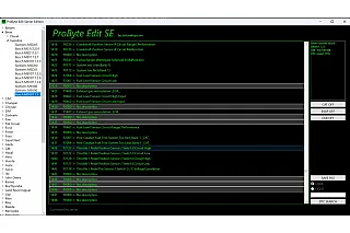 Лицензия Probyte Edit Bmw Gasoline Bosch MEVD17.2.3 EGR CAT DTC