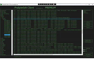 Лицензия Probyte Edit Bmw Gasoline Siemens MSV70 CAT EGR EVAP DTC OFF