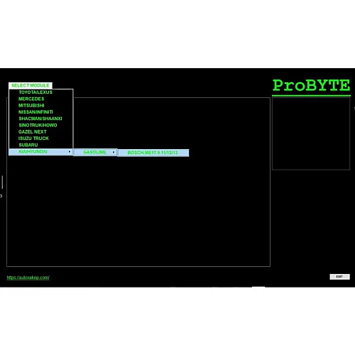 Лицензия Probyte Edit Module FULL для Kia/Hyundai с поддержкой Bosch ME 17.9.11/12/13: решение для CAT, EVAP и DTC off