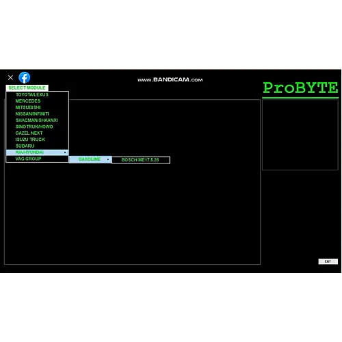 Лицензия Probyte Edit Module FULL для Kia и Hyundai: ME(G)17.9.21, CAT, EVAP, DTC off