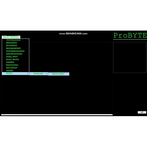 Лицензия Probyte Edit Module FULL для Mazda Denso Gen2: отключение CAT, EGR, DTC